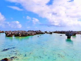 D&eacute;jeuner et apr&egrave;s-midi