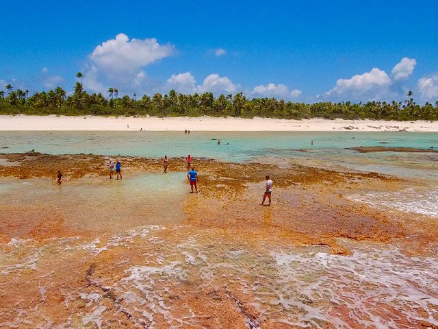 Otepipi + île aux récifs