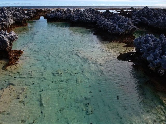 Île aux Récifs